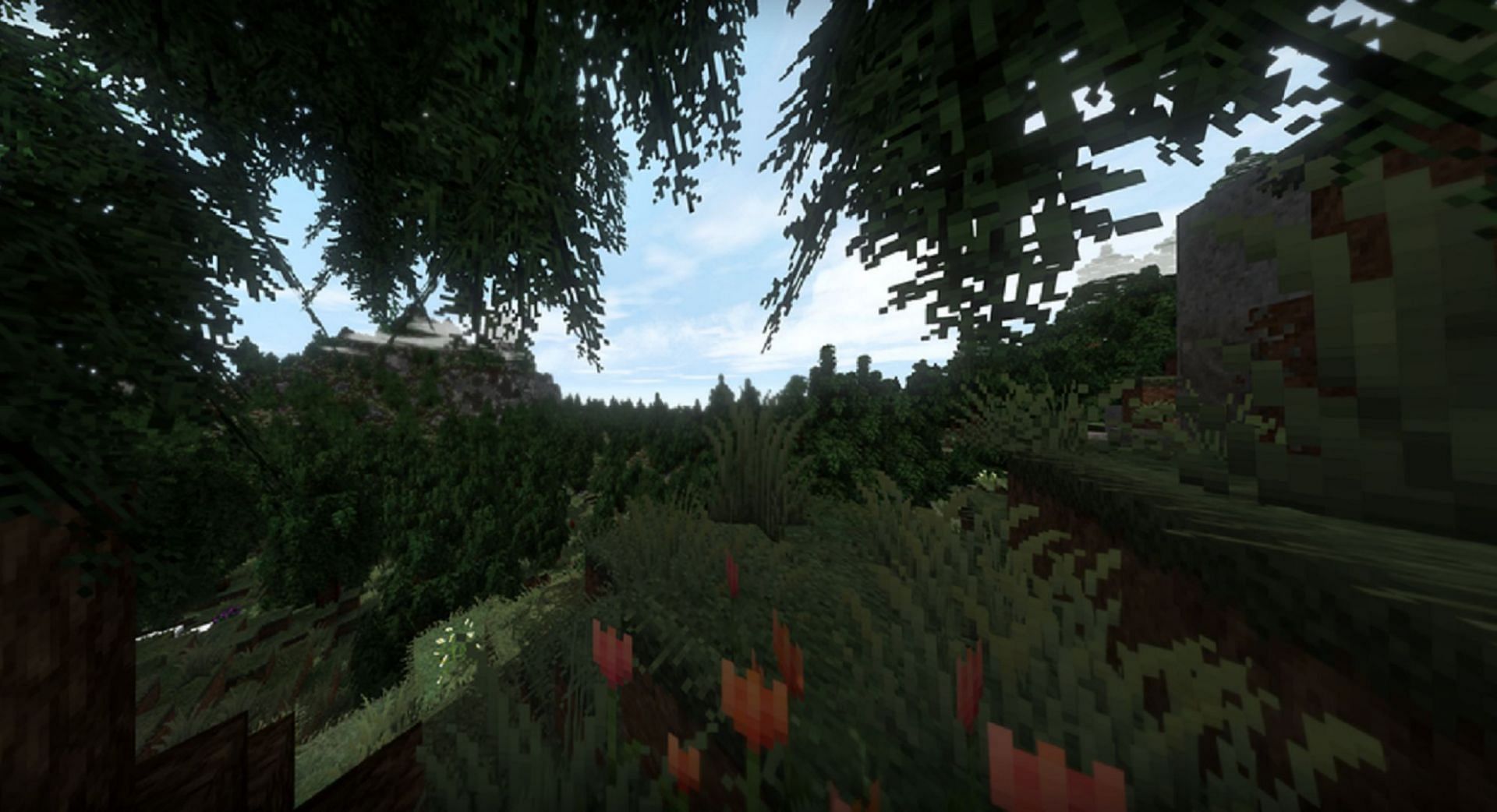 A forested area in Epic Adventures (Image via toby109tt/PlanetMinecraft)