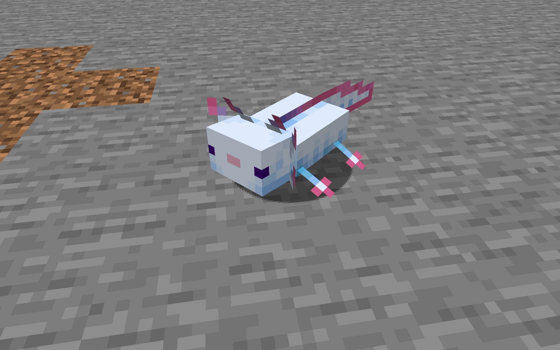 A rare blue Axolotl (Image via Minecraft 1.19)