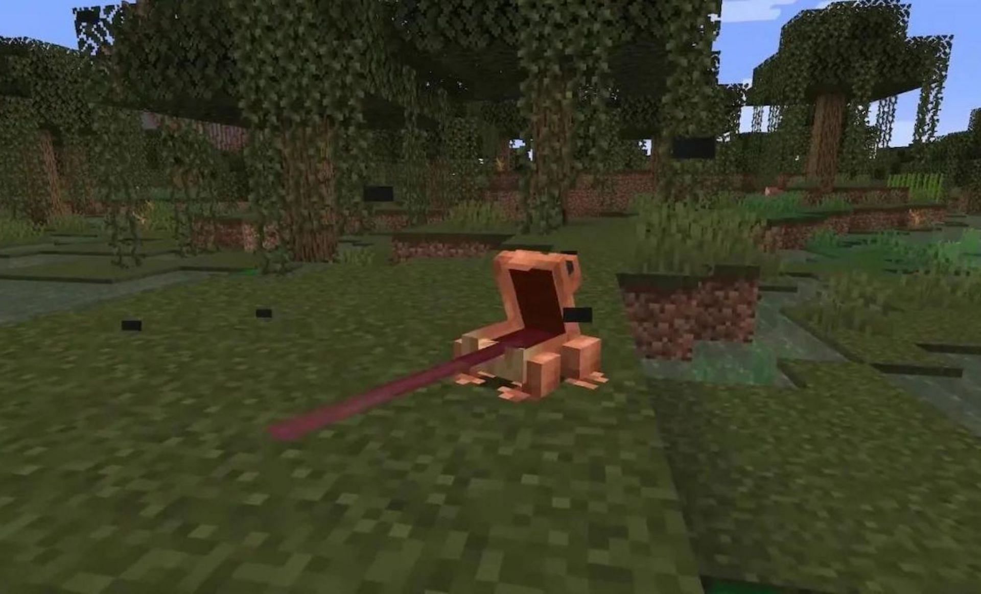 Frogs in action (Image via Mojang)