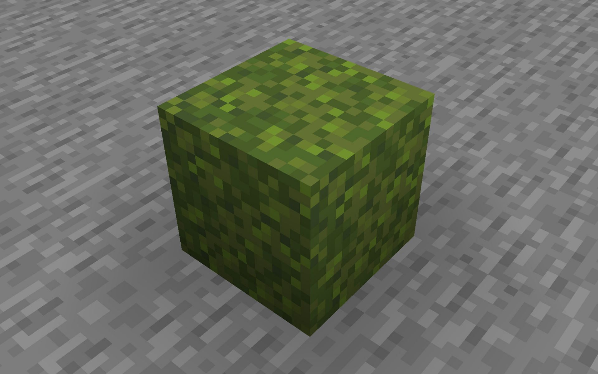 Moss block can easily be found in Lush Caves (Image via Minecraft 1.19)