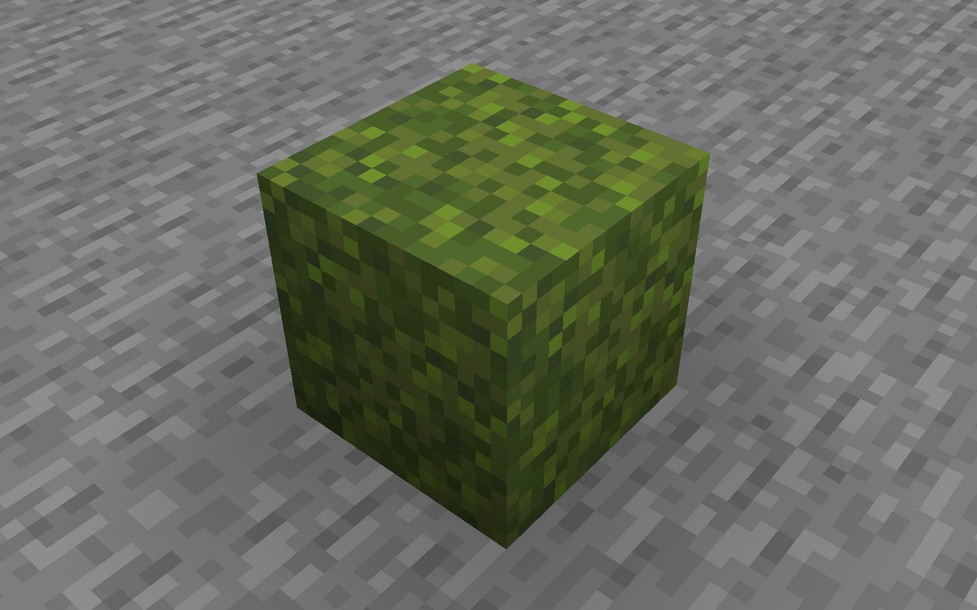 Moss Block in Minecraft