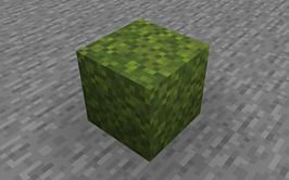 How to get and use moss blocks in Minecraft 1.19