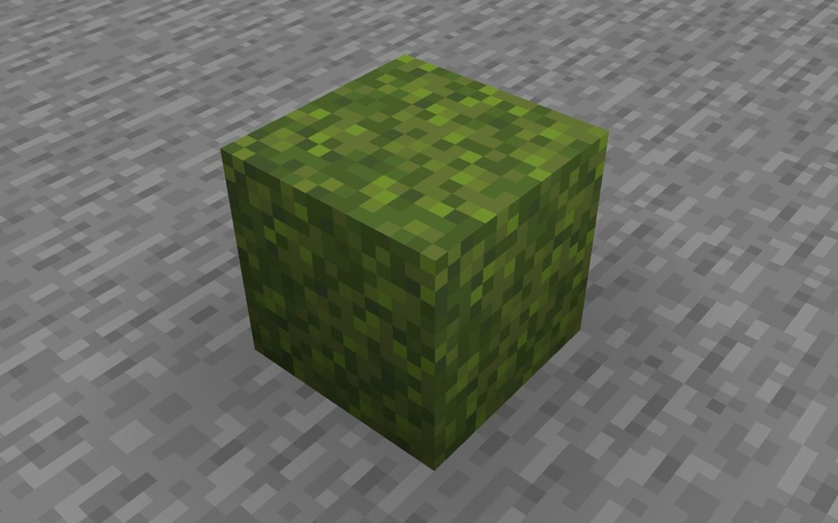 How to get and use moss blocks in Minecraft 1.19