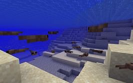 How long do Tadpoles take to grow in Minecraft 1.19?