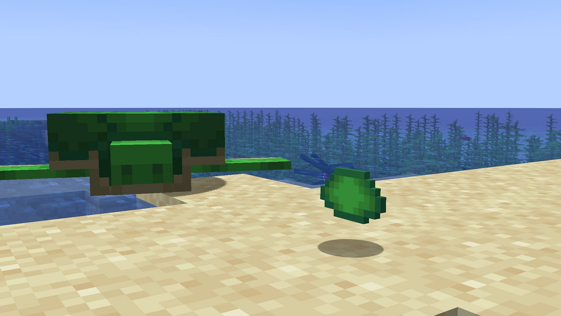 Baby turtle dropping scute after growing (Image via Minecraft 1.19)