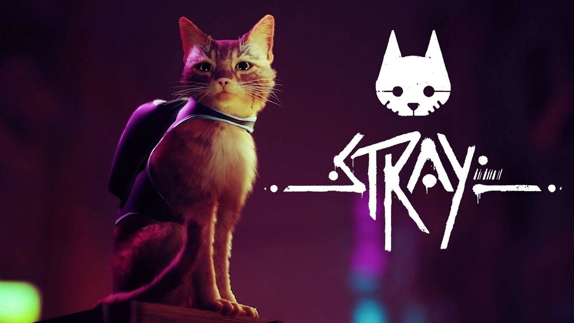 Stray is an upcoming video game due to release in mid-July (Image via Annapurna Interactive)