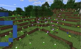 5 best biomes to live in Minecraft 1.19 The Wild Update