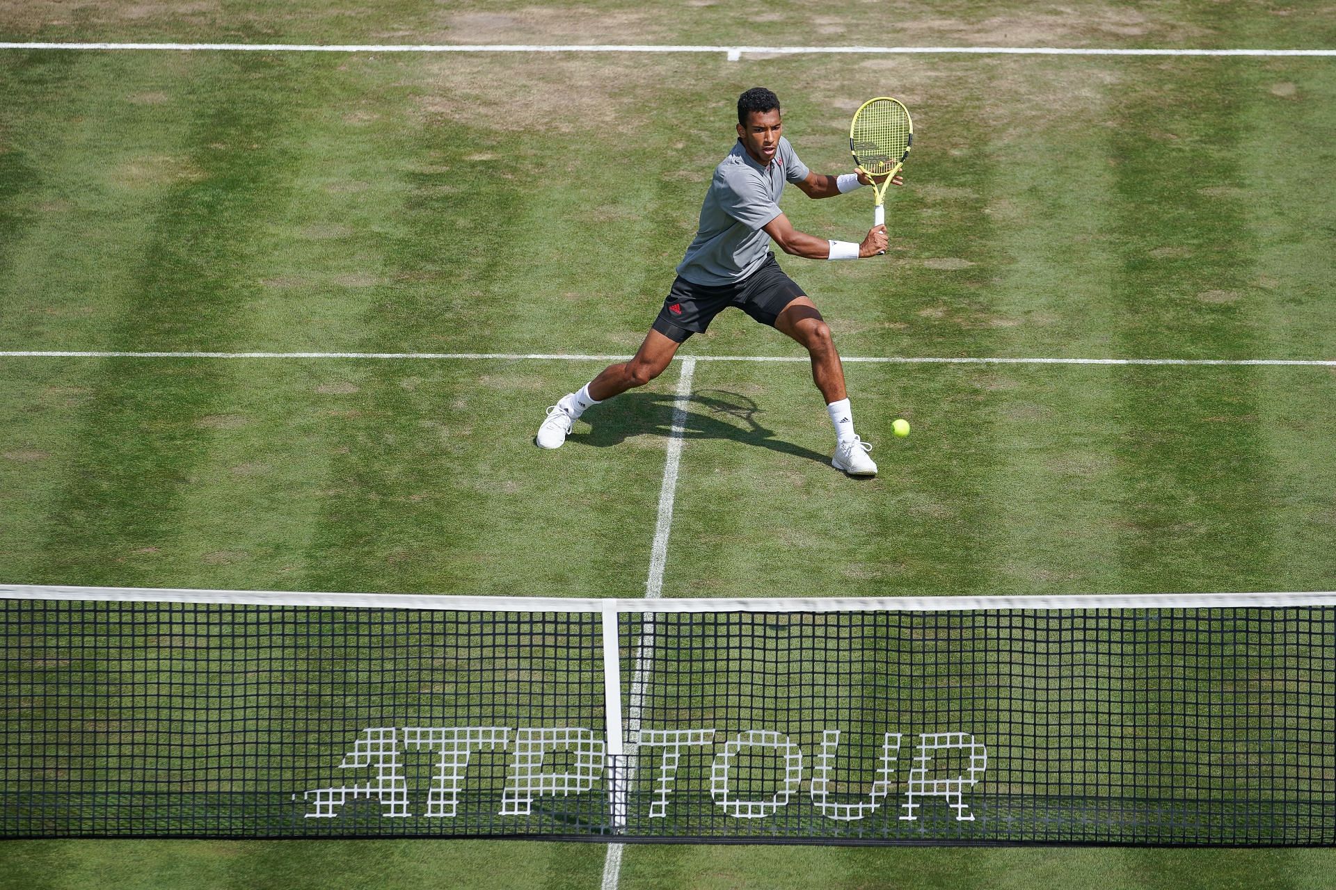 Felix Auger-Aliassime in action on the grass courts