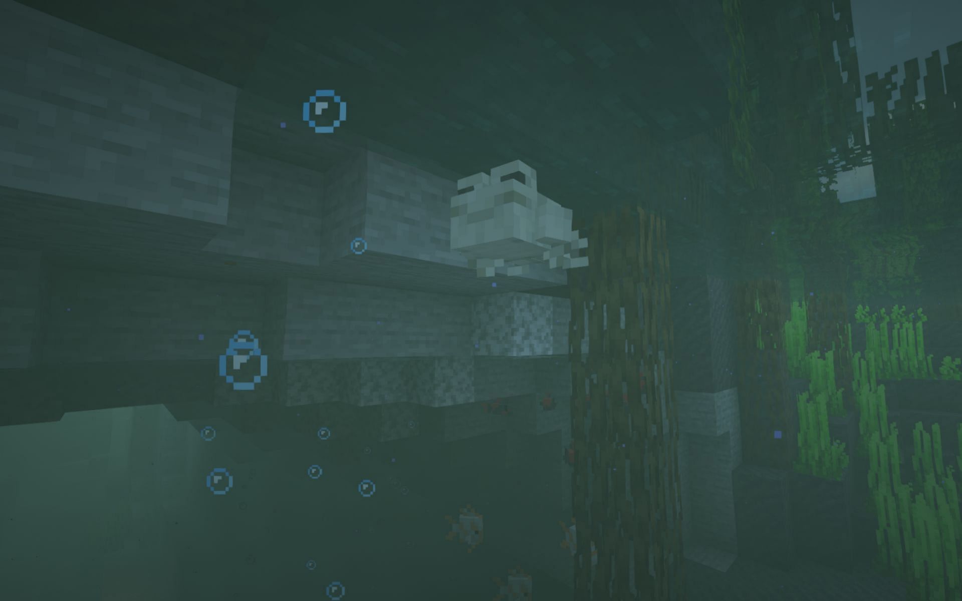 A frog swimming in the new Mangrove Swamp Biome (Image via Minecraft 1.19)