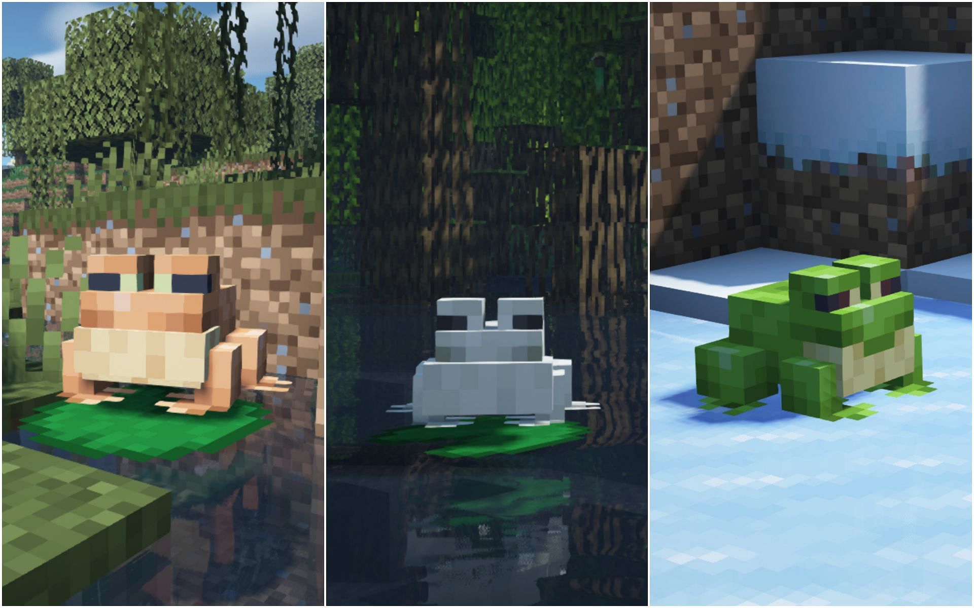 Where to find all three types of Frogs in Minecraft 1.19?