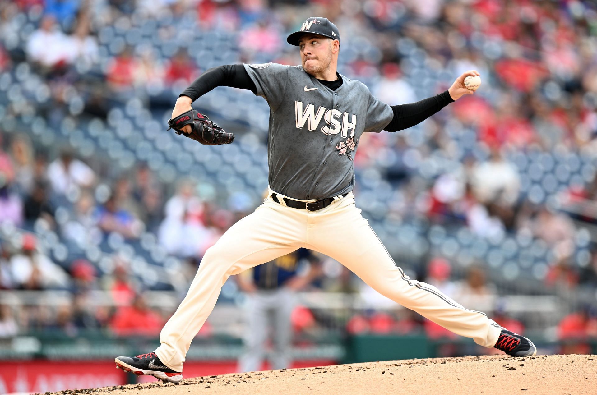 Patrick Corbin pitches for the Washington Nationals.