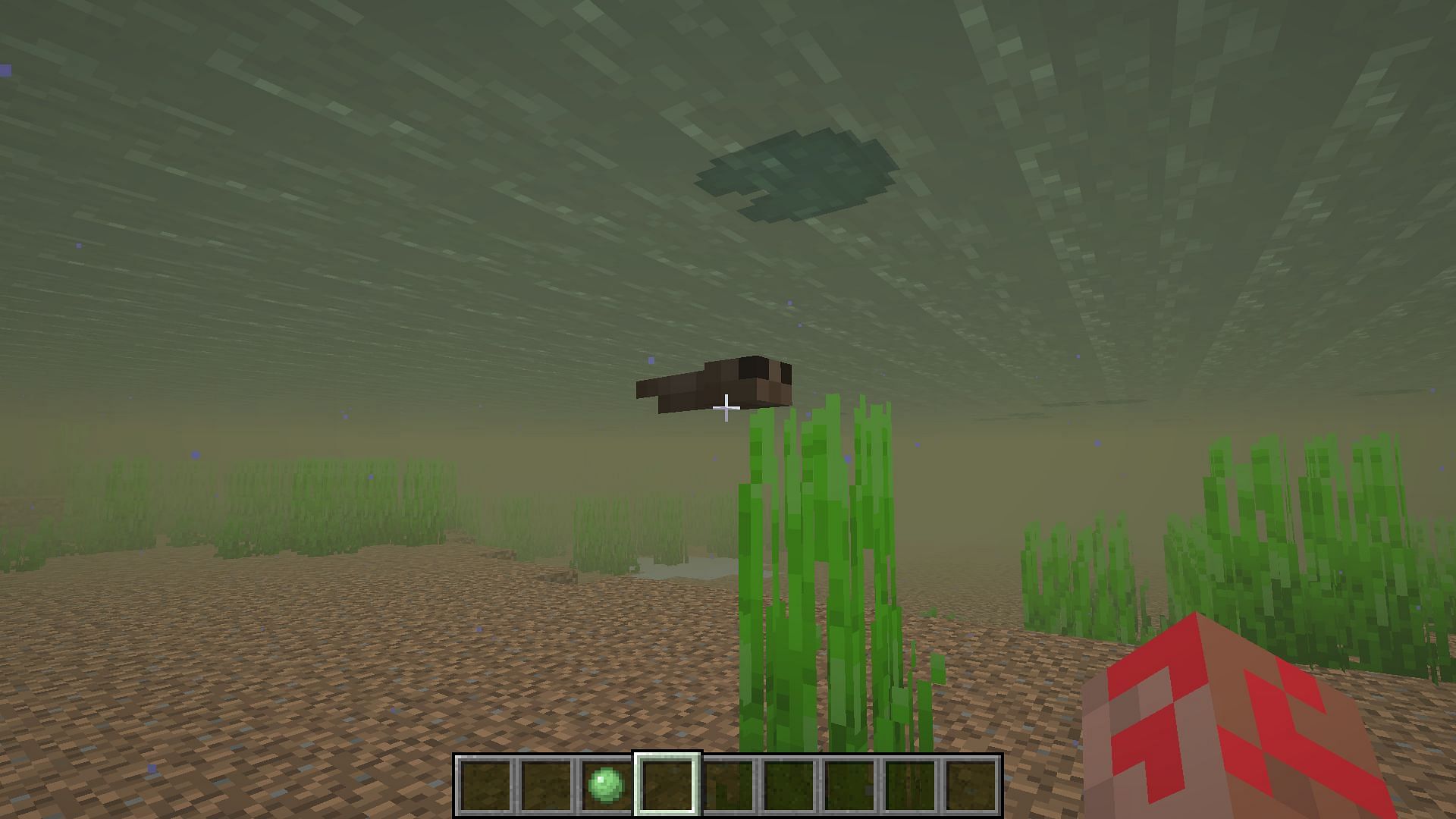 Tadpoles (Image via Minecraft 1.19)