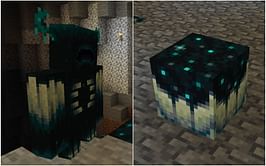 Why the Warden has no special drops in Minecraft 1.19 The Wild Update