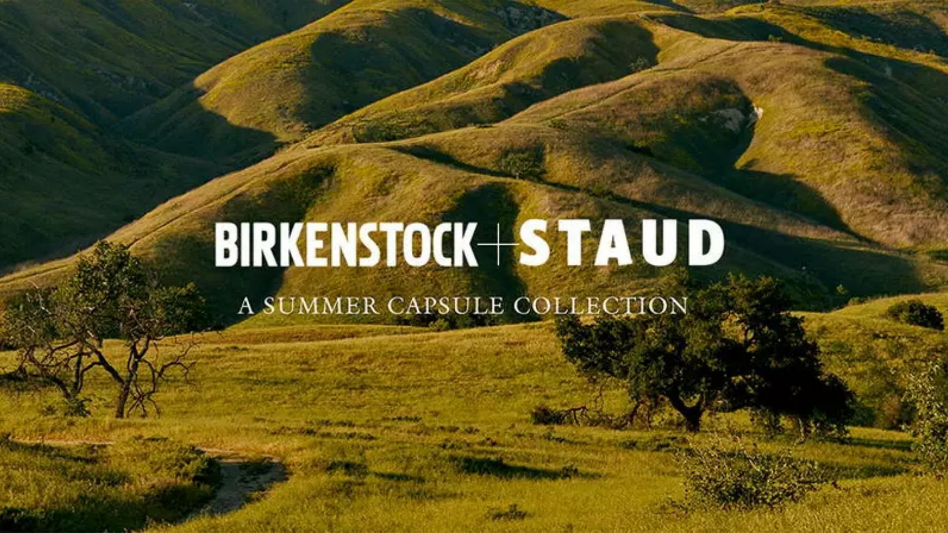 Birkenstock x Staud collection (Image via Staud)