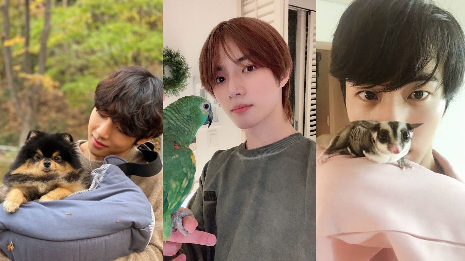 BTS&#039; V and Yeontan, TXT&#039;s Beomgyu and Toto, and BTS&#039; Jin and Odeng (Images via @beomjunhourly/Twitter, @itsallforjin/Twitter, and @ot7isbest/Twitter)