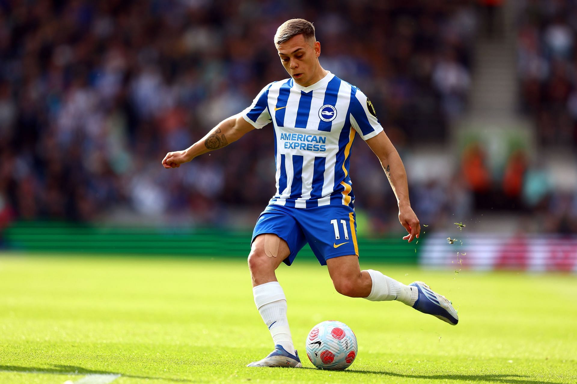 Brighton &amp; Hove Albion v Manchester United - Premier League