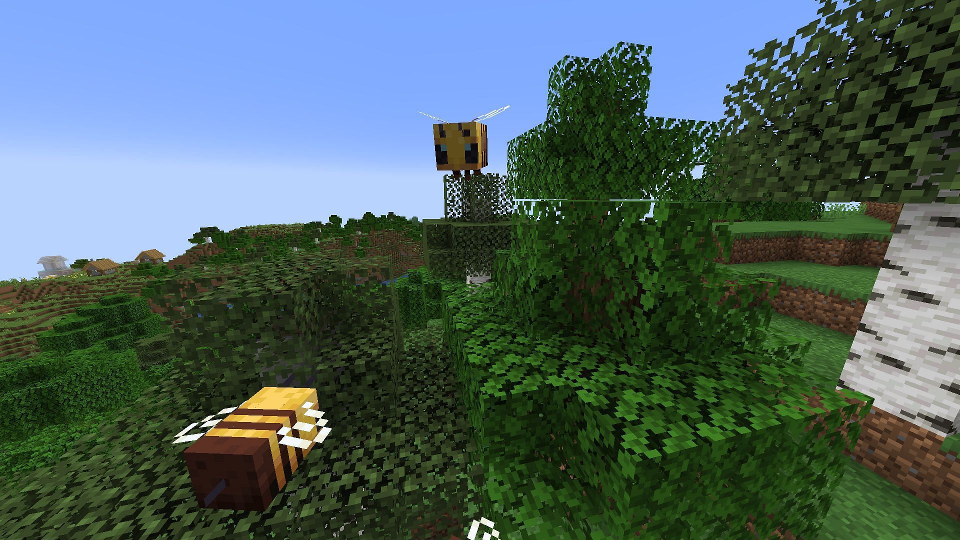 They can be found near bee nests (Image via Mojang)