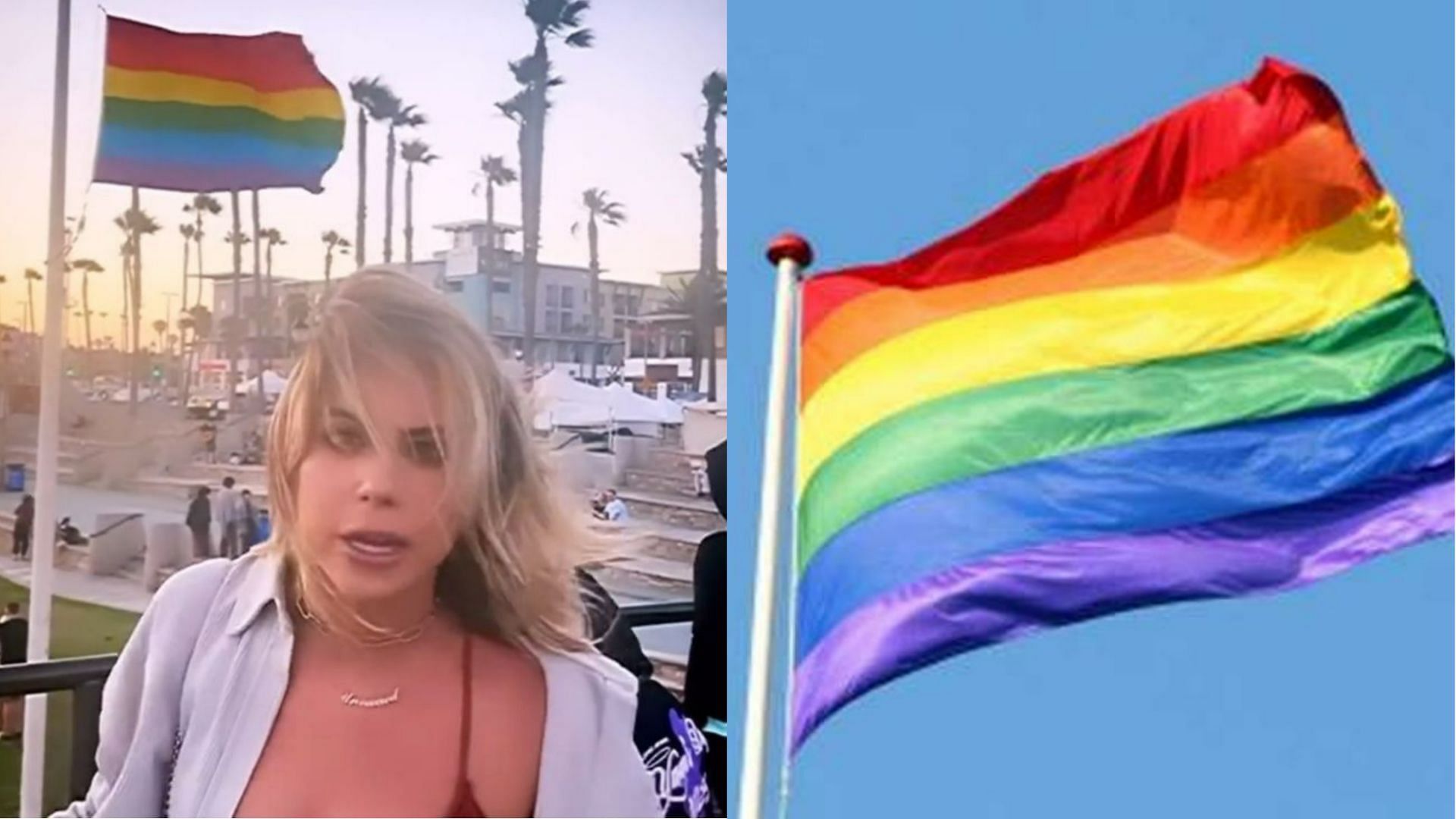 Who is Alison Steinberg ? OAN Contributor slammed for homophobic pride flag  rant in viral video