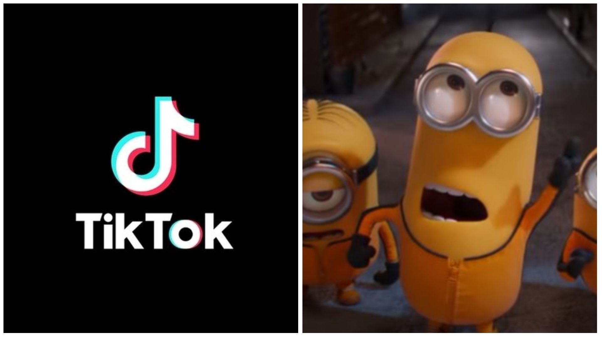 Viral Despicable Me trend inspires thousands of fans (Image via @TikTok/Universal Pictures Australia)