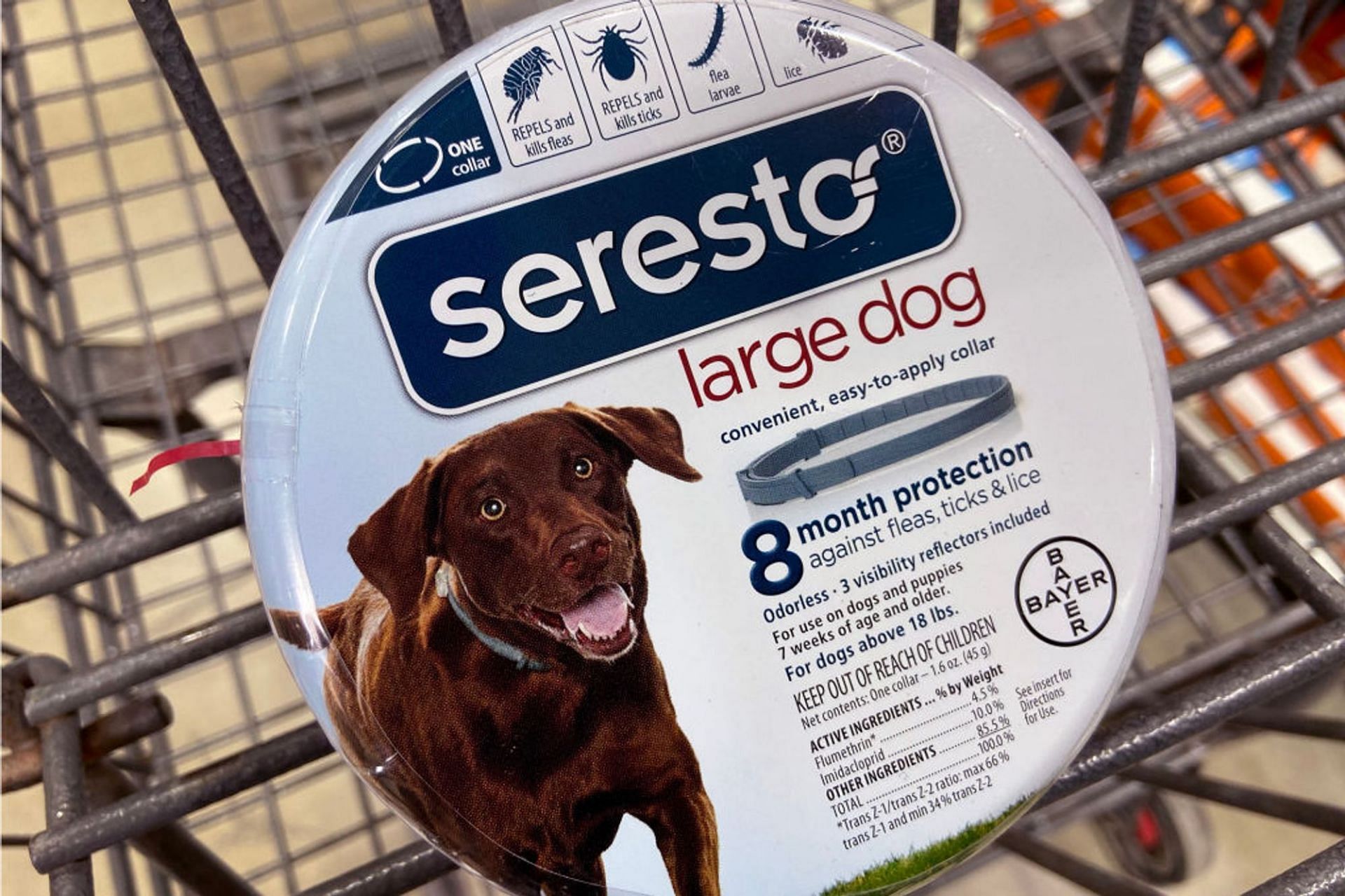 Congressional panel campaigns for Seresto flea and tick collar recall (Image via Getty Images)