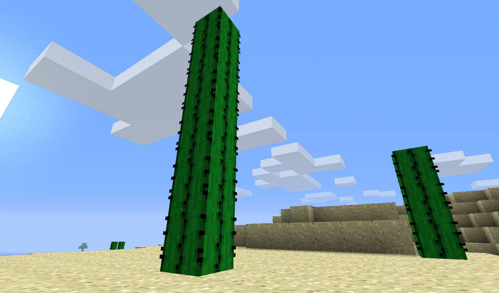Cactus blocks can prick entities that touch them (Image via Mojang)