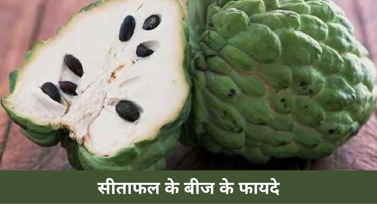 5-benefits-of-custard-apple-seeds-in-hindi