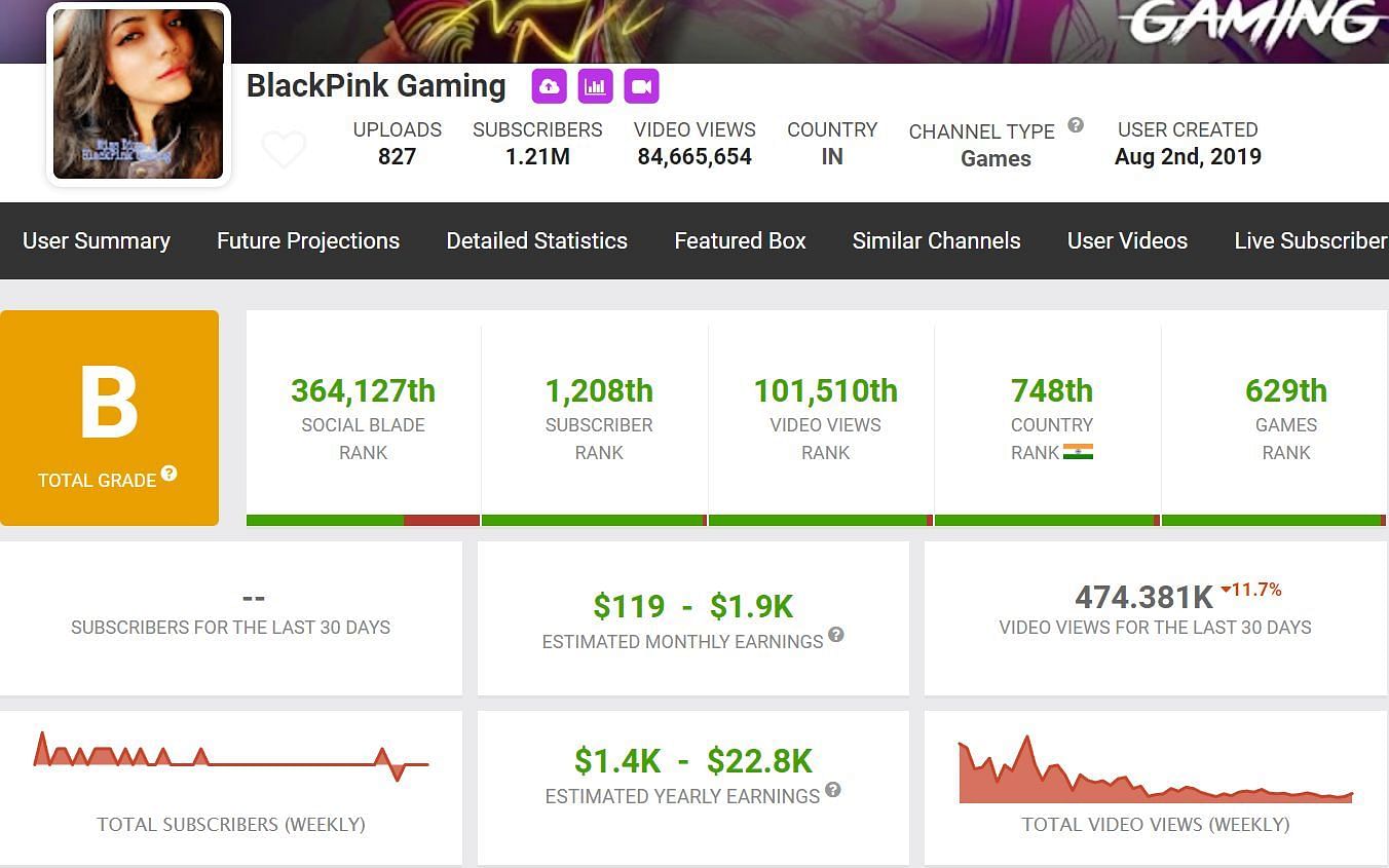 BlackPink Gaming&#039;s monthly income (Image via Social Blade)