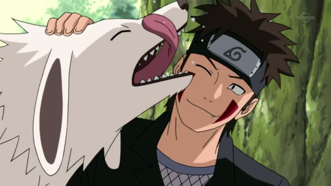 Kiba and Akamaru as shown in the anime (Image via Pierrot)