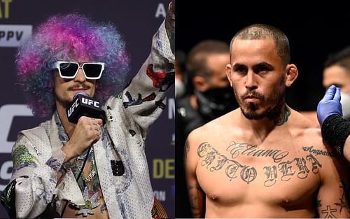 Sean O'Malley (left) and Marlon Vera (right) (Images via Getty)