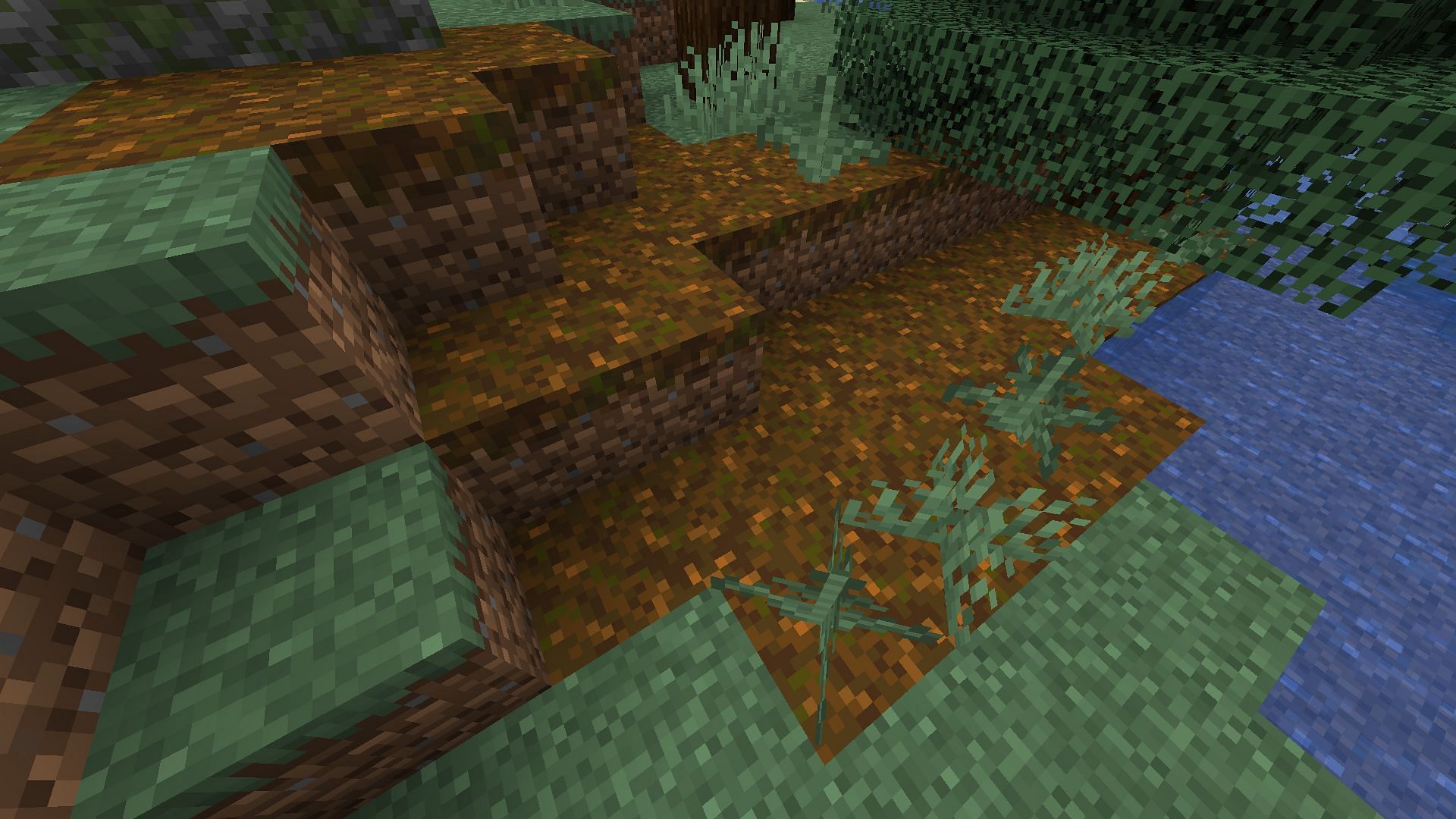 The block generating in old-growth taiga biome underneath a spruce tree (Image via Mojang)