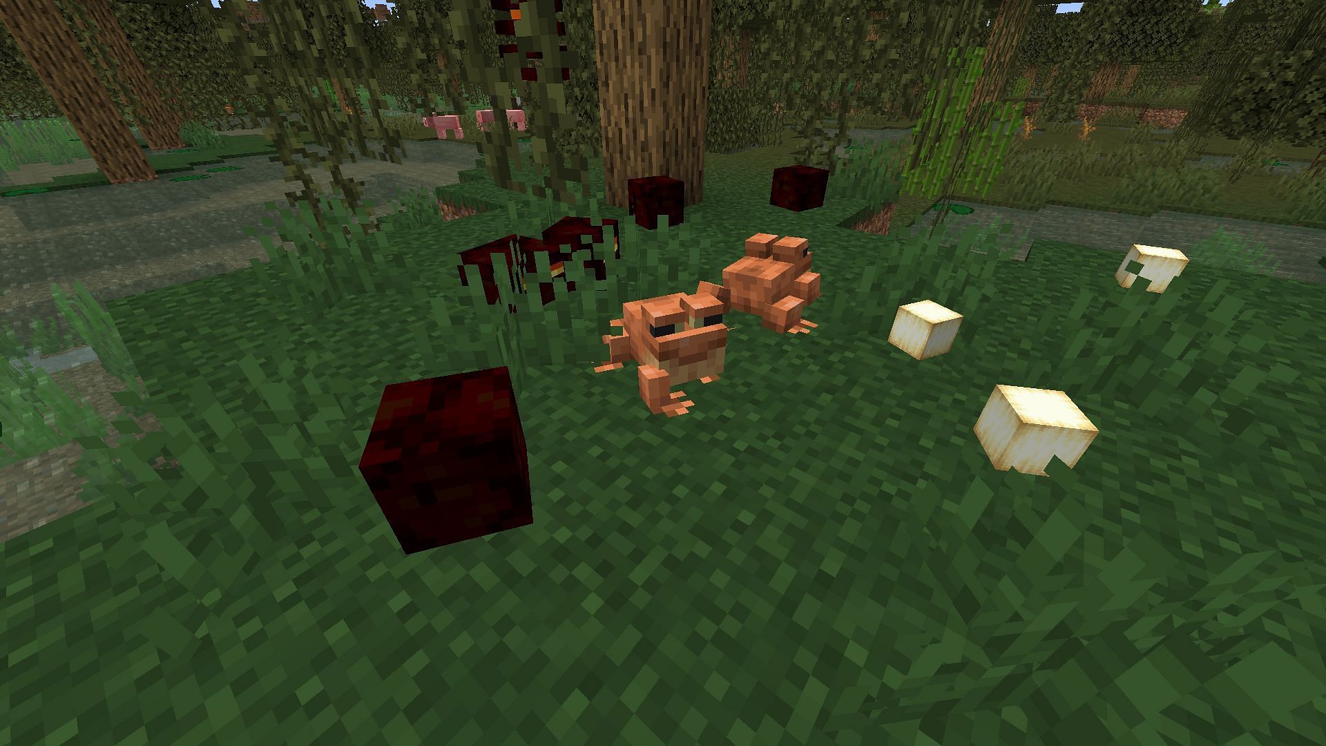 Frogs eating magma cubes and dropping Froglight (Image via Minecraft 1.19)