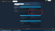 Steam account details (Image via Sportskeeda)