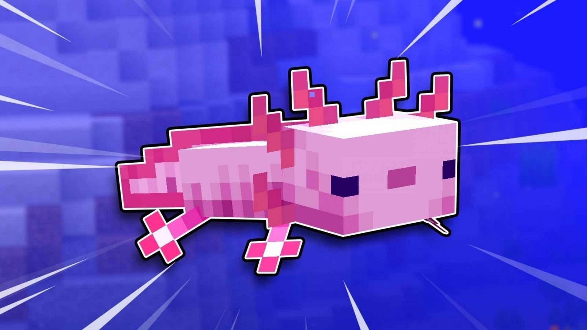 Axolotls attack nearly all aquatic mobs (Image via Mojang)