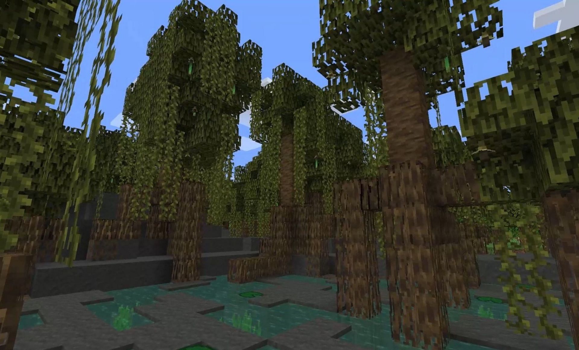 Mangrove Swamp biome (Image via Mojang)