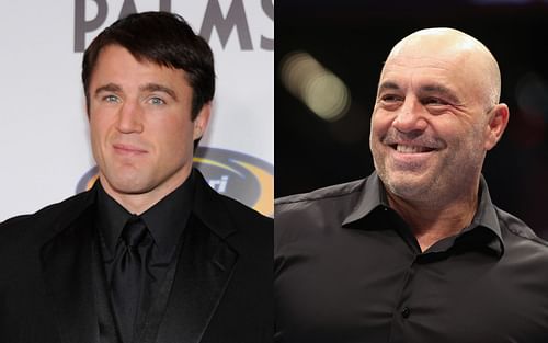 Chael Sonnen (left) dissected Joe Rogan's (right) take of damager over control