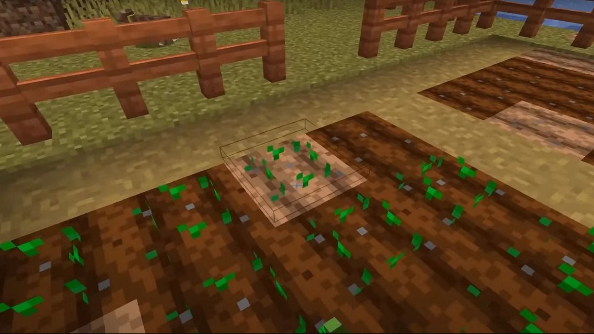 A standard crop farm in Minecraft 1.19 (Image via Mojang)