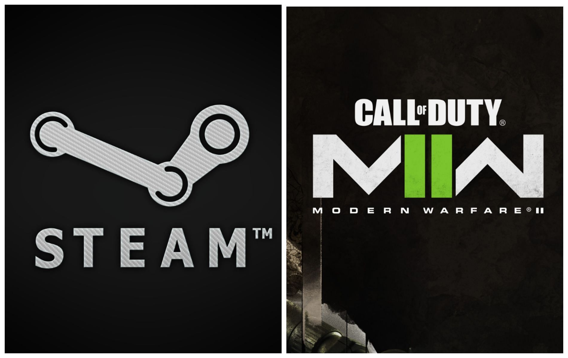 Modern Warfare 2 will be available on Steam, confirmed (image via Steam, Activision)