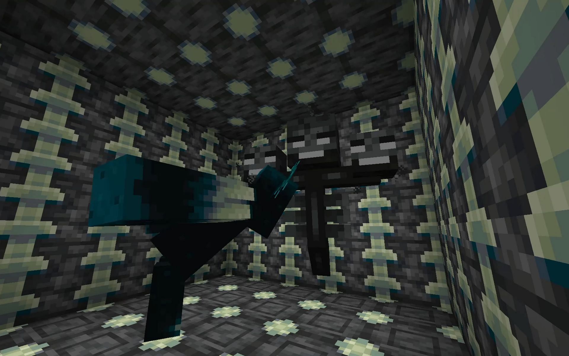 In previous Minecraft 1.19 snapshots, the Warden was hostile towards Wither (Image via Mojang)