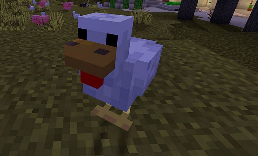 Diamond chickens possess a blue coloration (Image via Mojang)