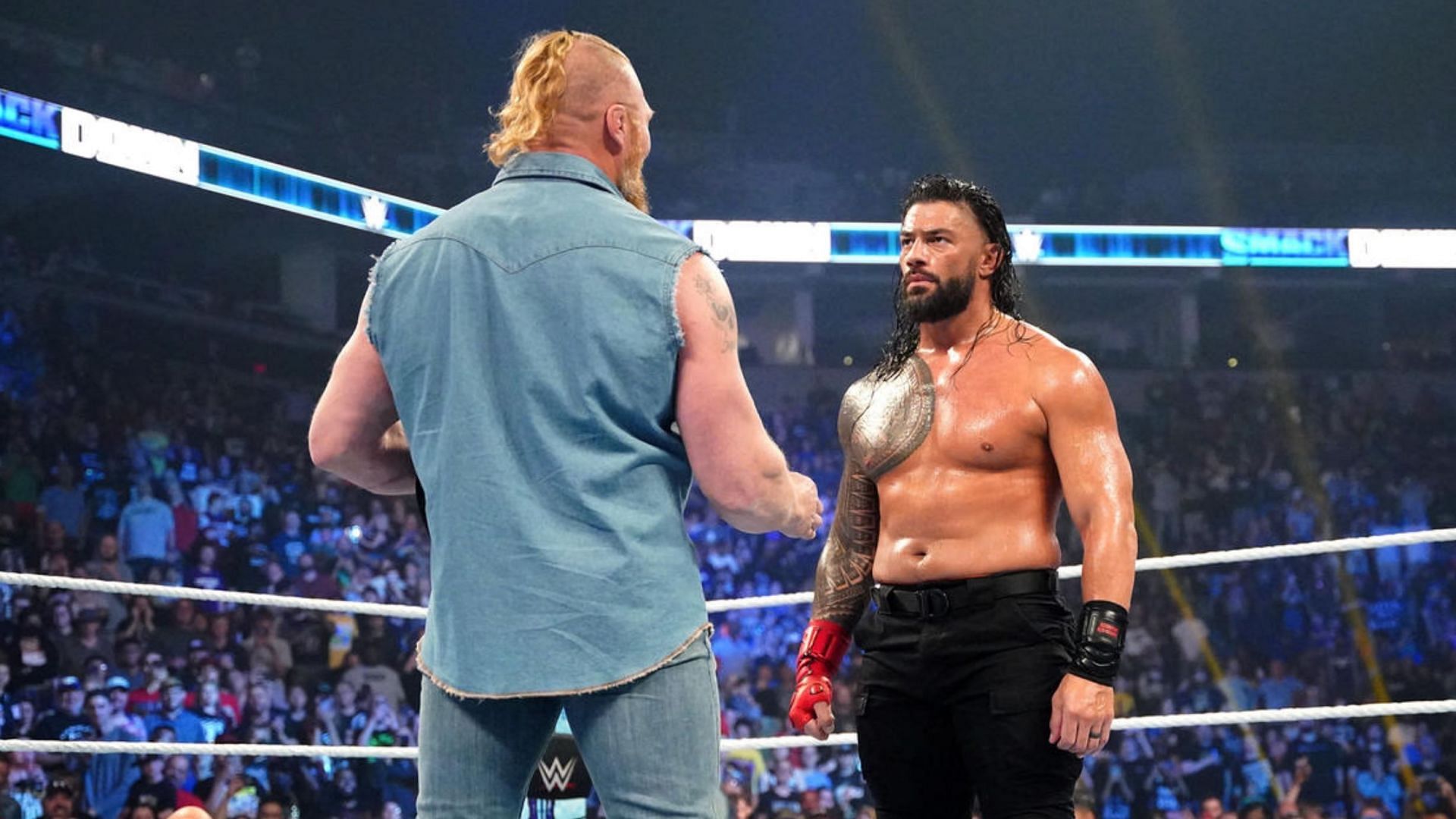 Brock Lesnar hit Roman Reigns with an F5 on SmackDown!
