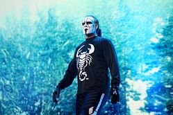 "The love of the game and a phone call" - Sting comments on what made him decide to sign for AEW after his WWE run