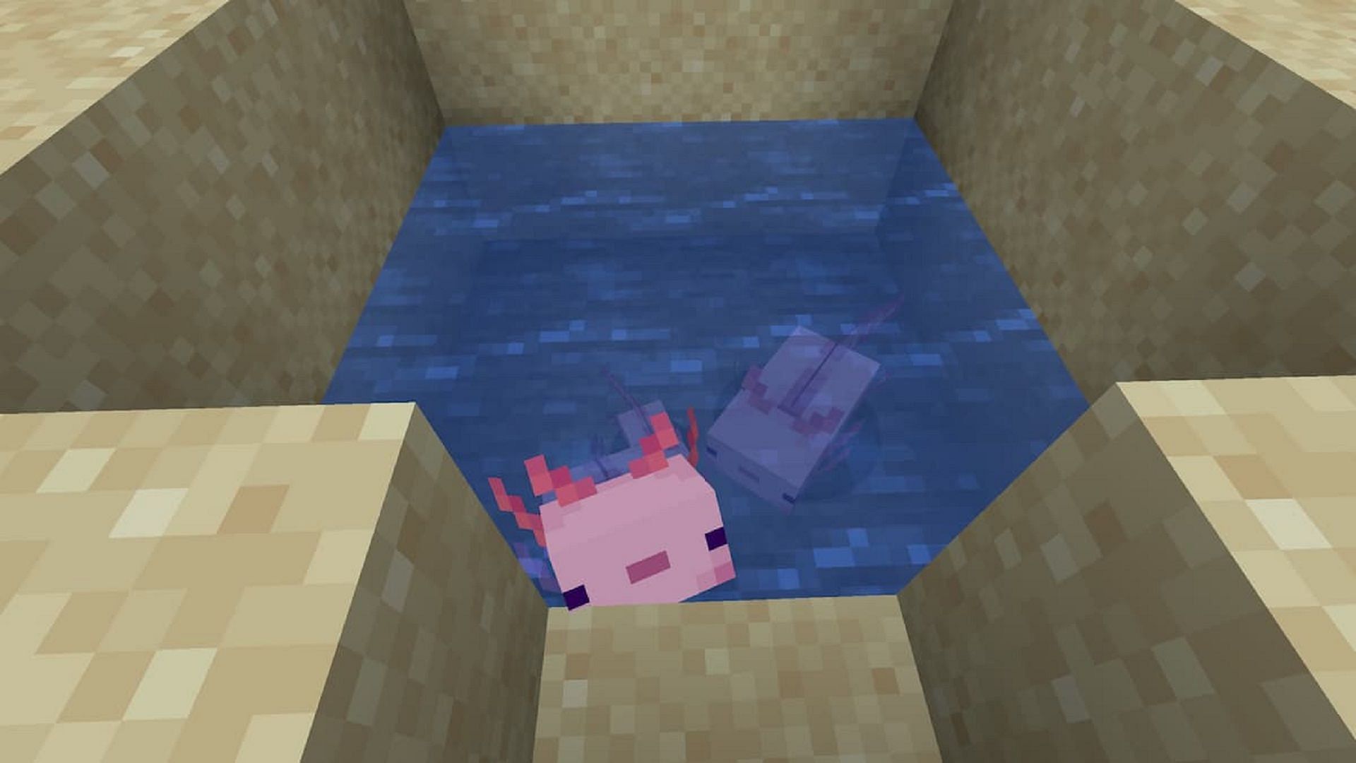 Axolotls were introduced in the Caves &amp; Cliffs update (Image via Mojang)