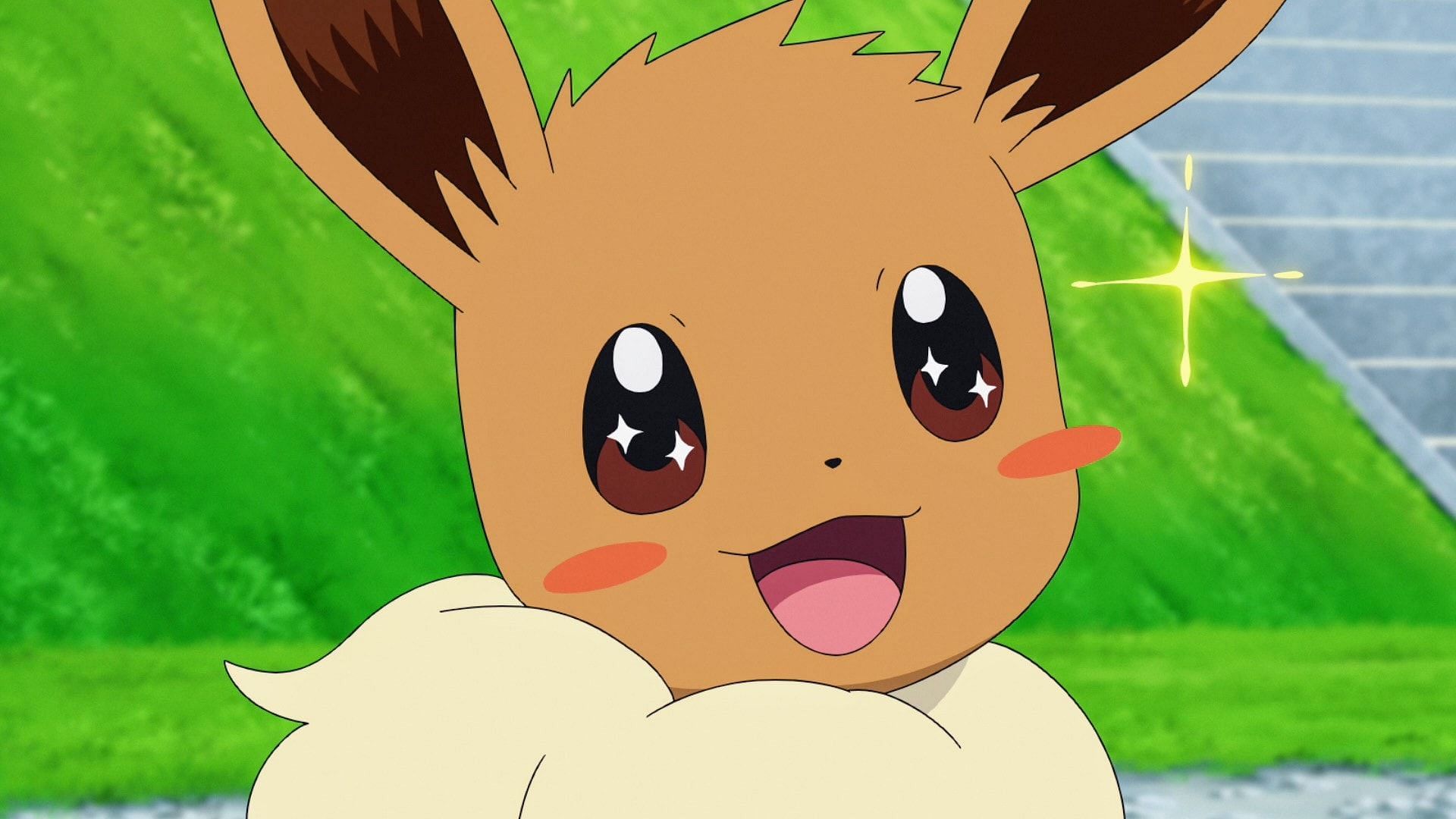 A Pokemon for every month of the year? Eevee is excited! (Image credits: OLM Incorporated, Pokemon Journeys: The series)