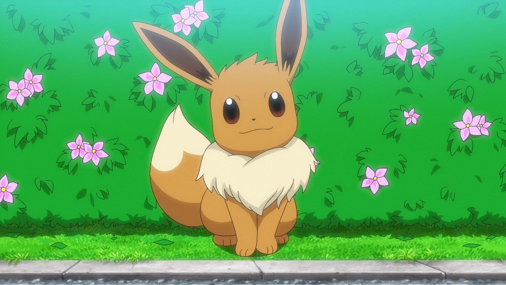 Eevee and Its Evolutions!  Pokémon Master Journeys: The Series