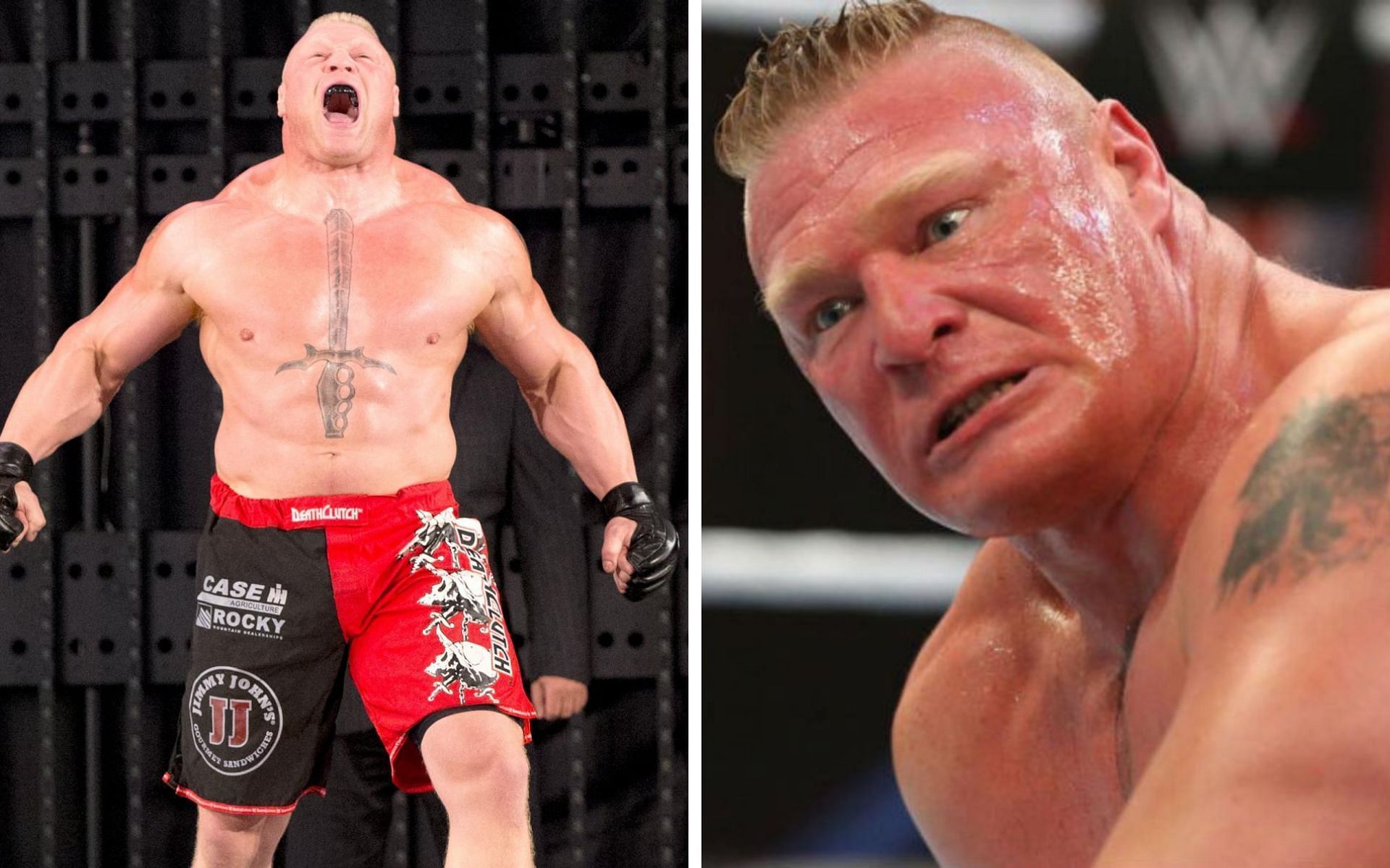 Brock Lesnar is a 10-time WWE World Champion!