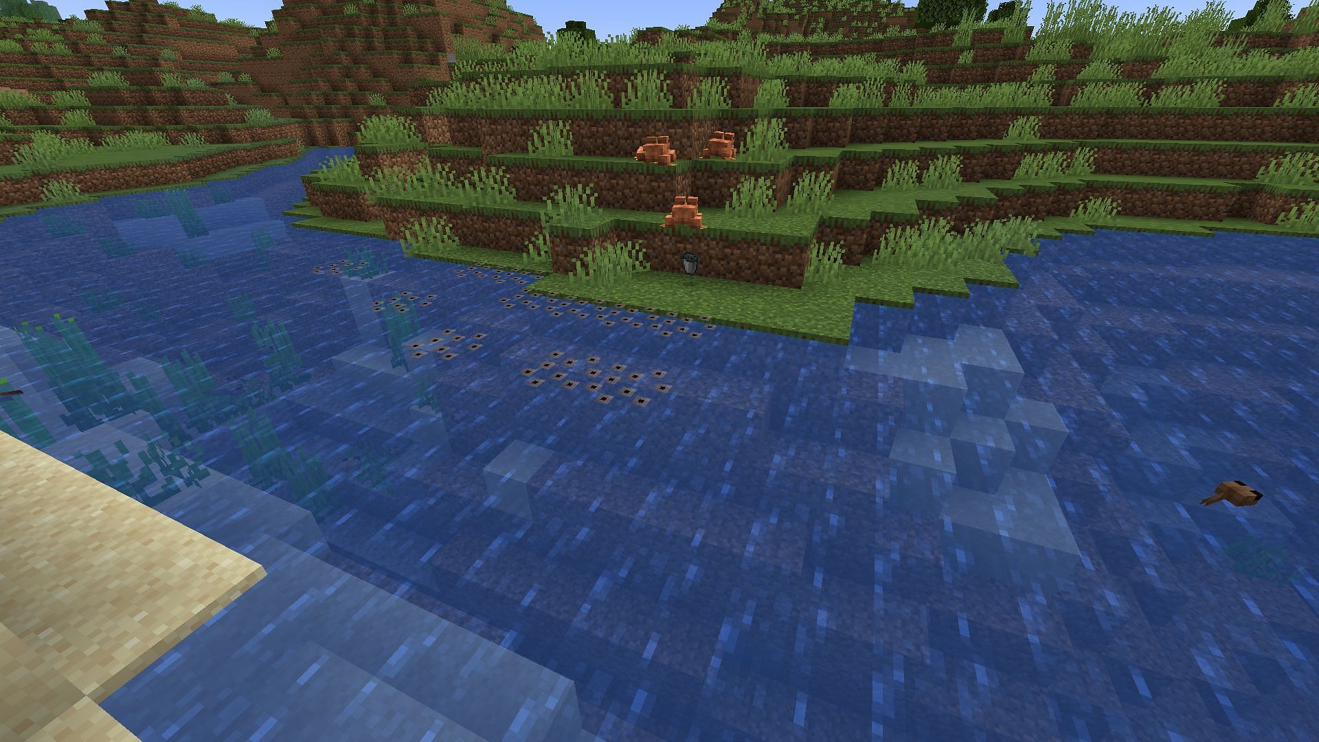 Frogs, tadpoles, and frogspawn, the three stages of a frog&#039;s life (Image via Minecraft)