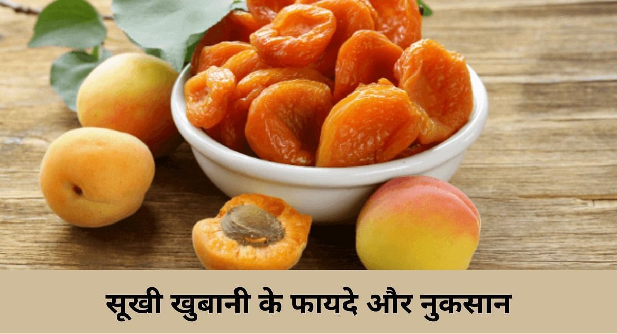 Apricot on sale in hindi