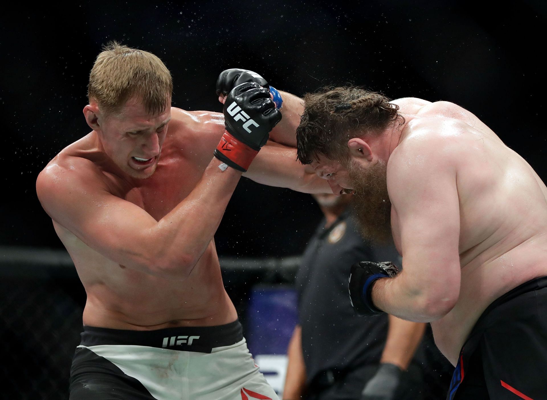 Alexander Volkov taking on Roy Nelson