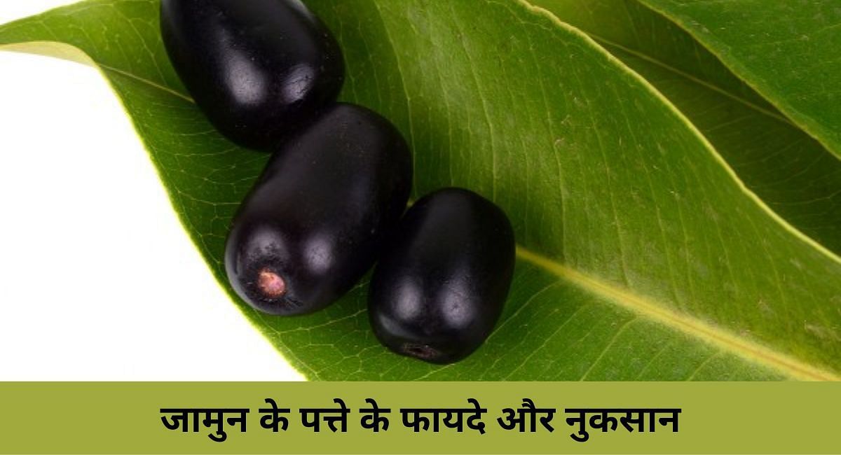 benefits-and-side-effects-of-jamun