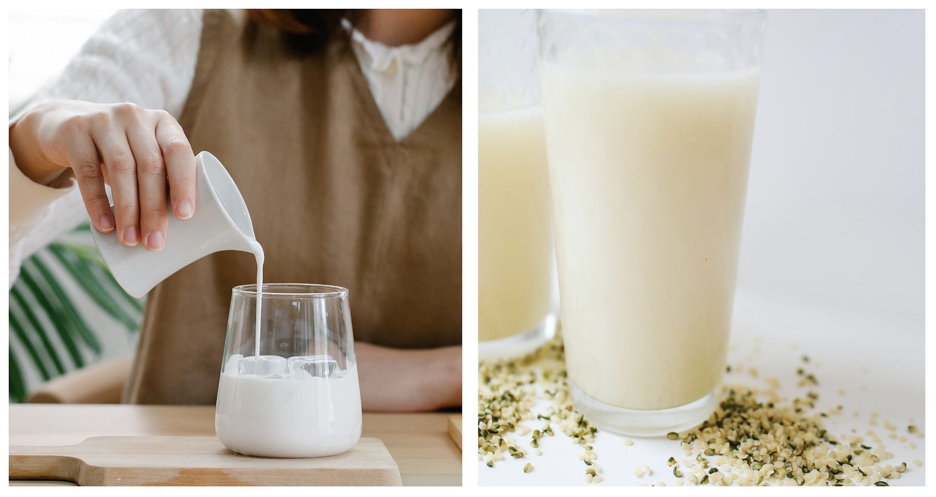 Proteins, good fats, and other nutrients abound in hemp milk. (Image via Pexels/Anna Pou/Polina Tankilevitch)